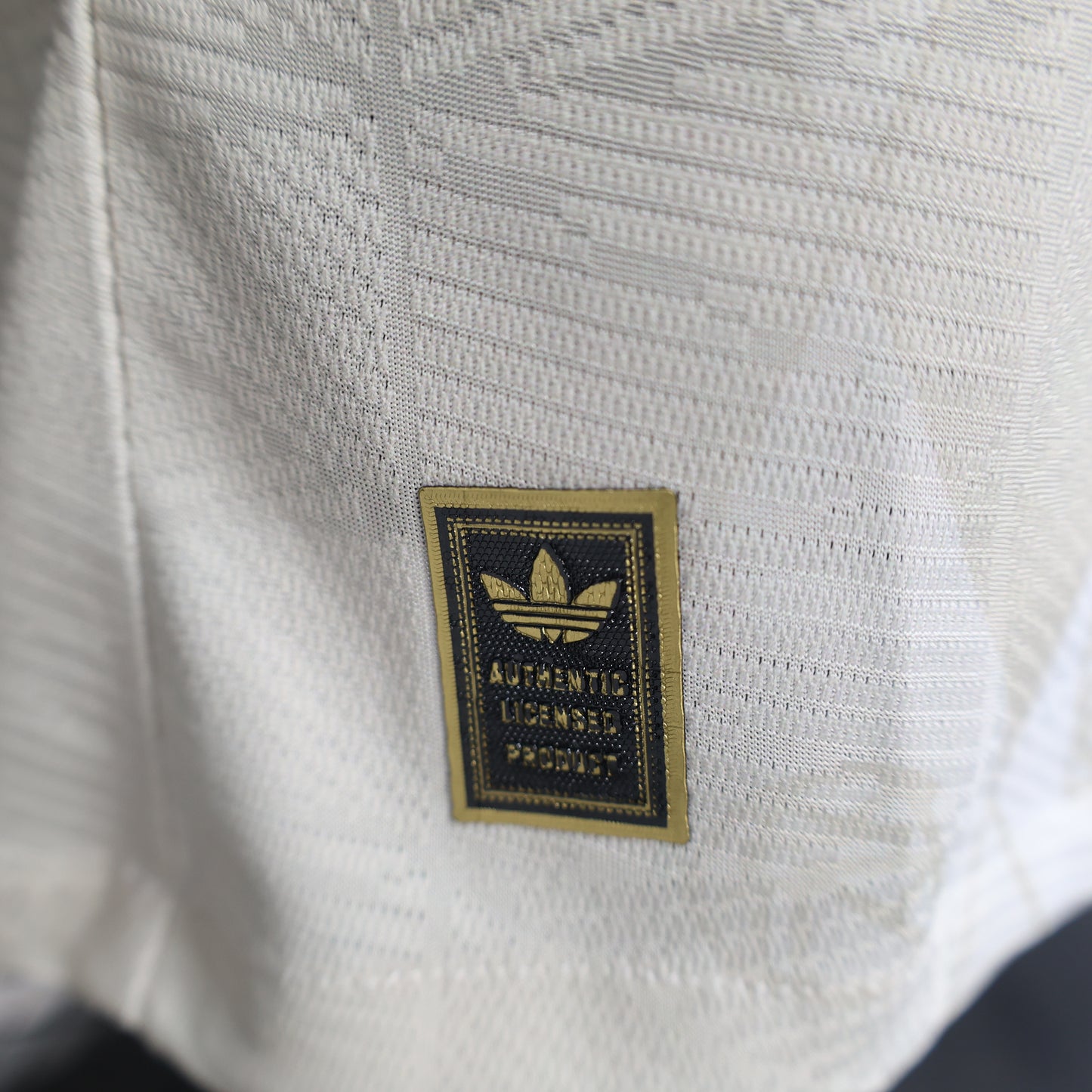 Bayern ,,Pure Class,, Special Kit