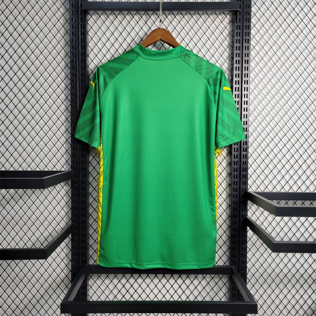 Mancester City 'Goalkeeper Green''