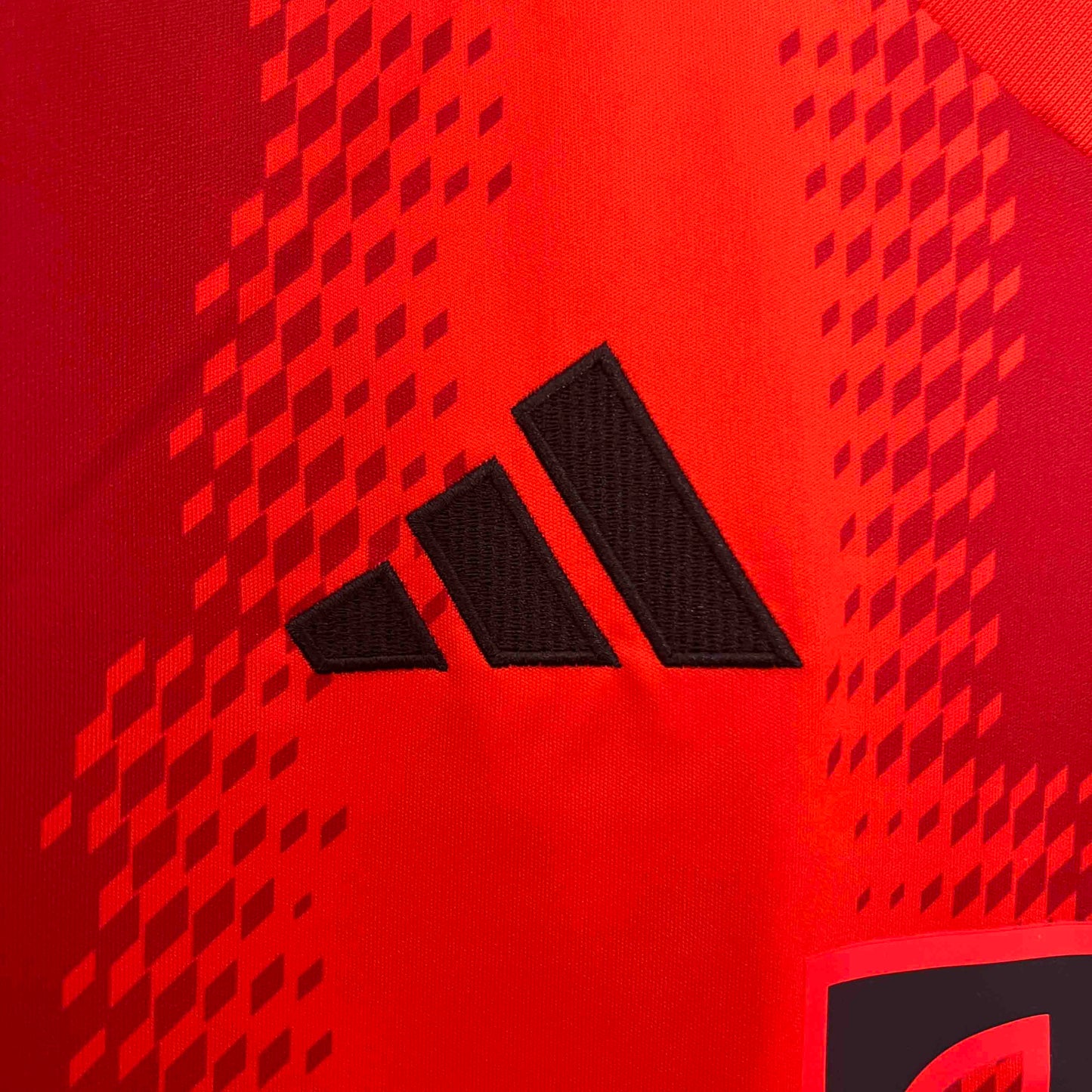 Bayern ''Blood Red'' Special Kit