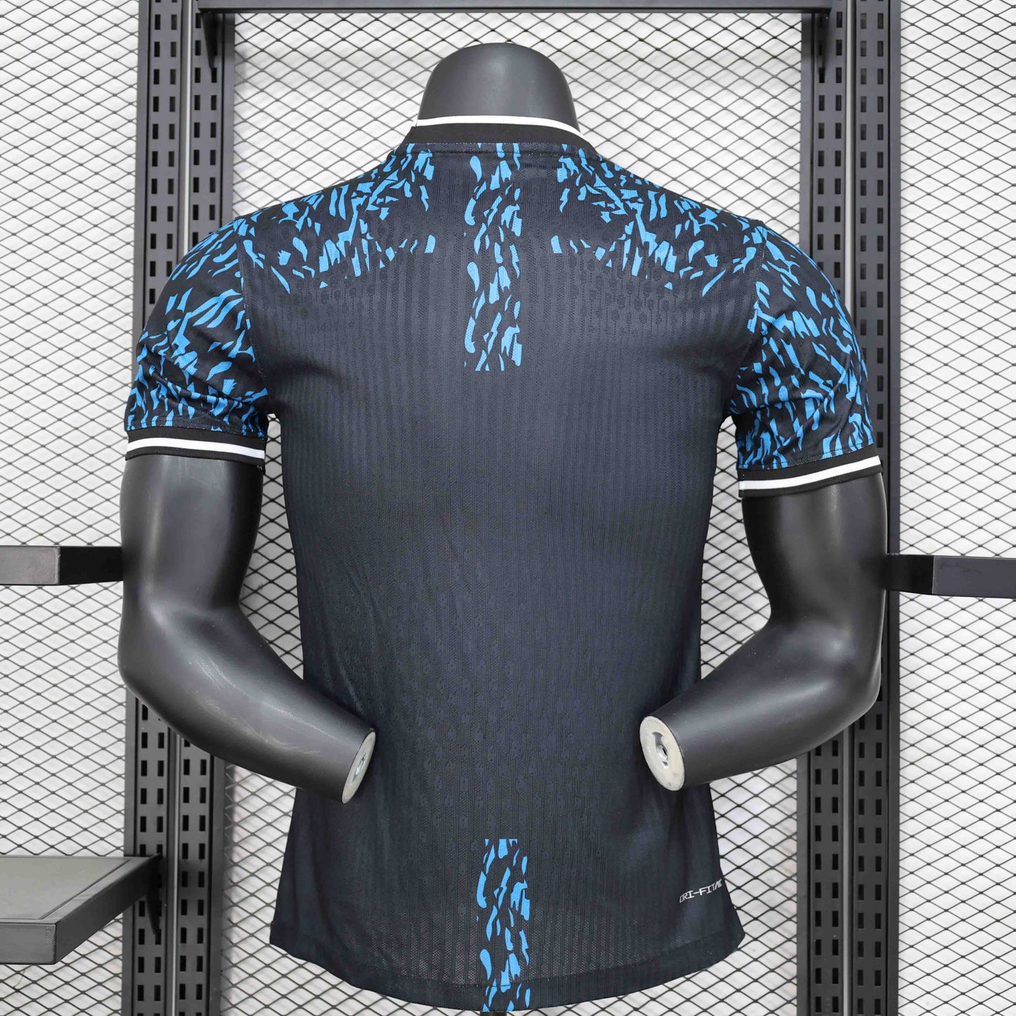 Barcelona "Blue Lion" Special Kit