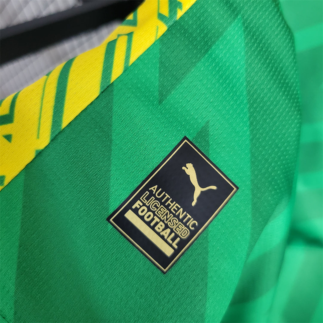 Mancester City 'Goalkeeper Green''